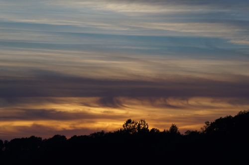 Free A tranquil sunset with vibrant clouds casting a beautiful silhouette of trees. Stock Photo