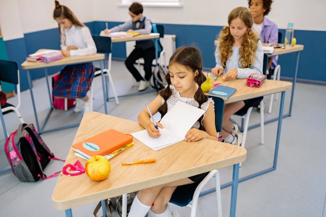 Free Students Sitting in the Classroom  Stock Photo