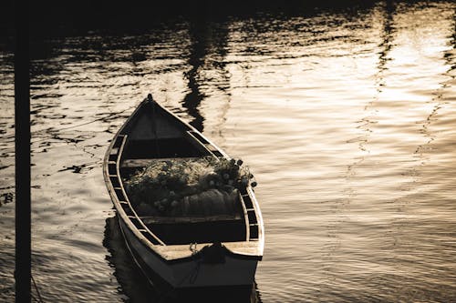 カヌー, 手漕ぎボート, 漁船の無料の写真素材