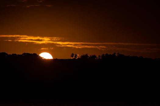 Captivating sunset silhouette with palm trees at Cabedelo beach, Brazil.