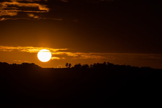 A vibrant golden sunset casting a silhouette over a serene landscape with palm trees.