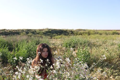 Free A young woman amidst white wildflowers in an open field on a summer day. Stock Photo