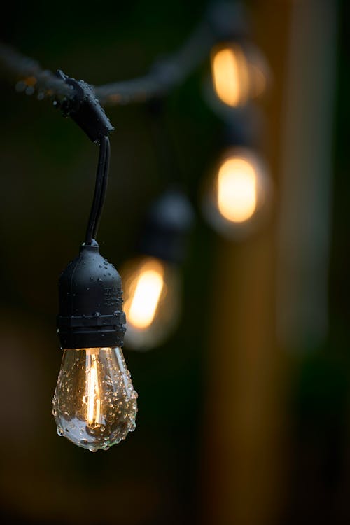 Close Up Photo of a Light Bulb