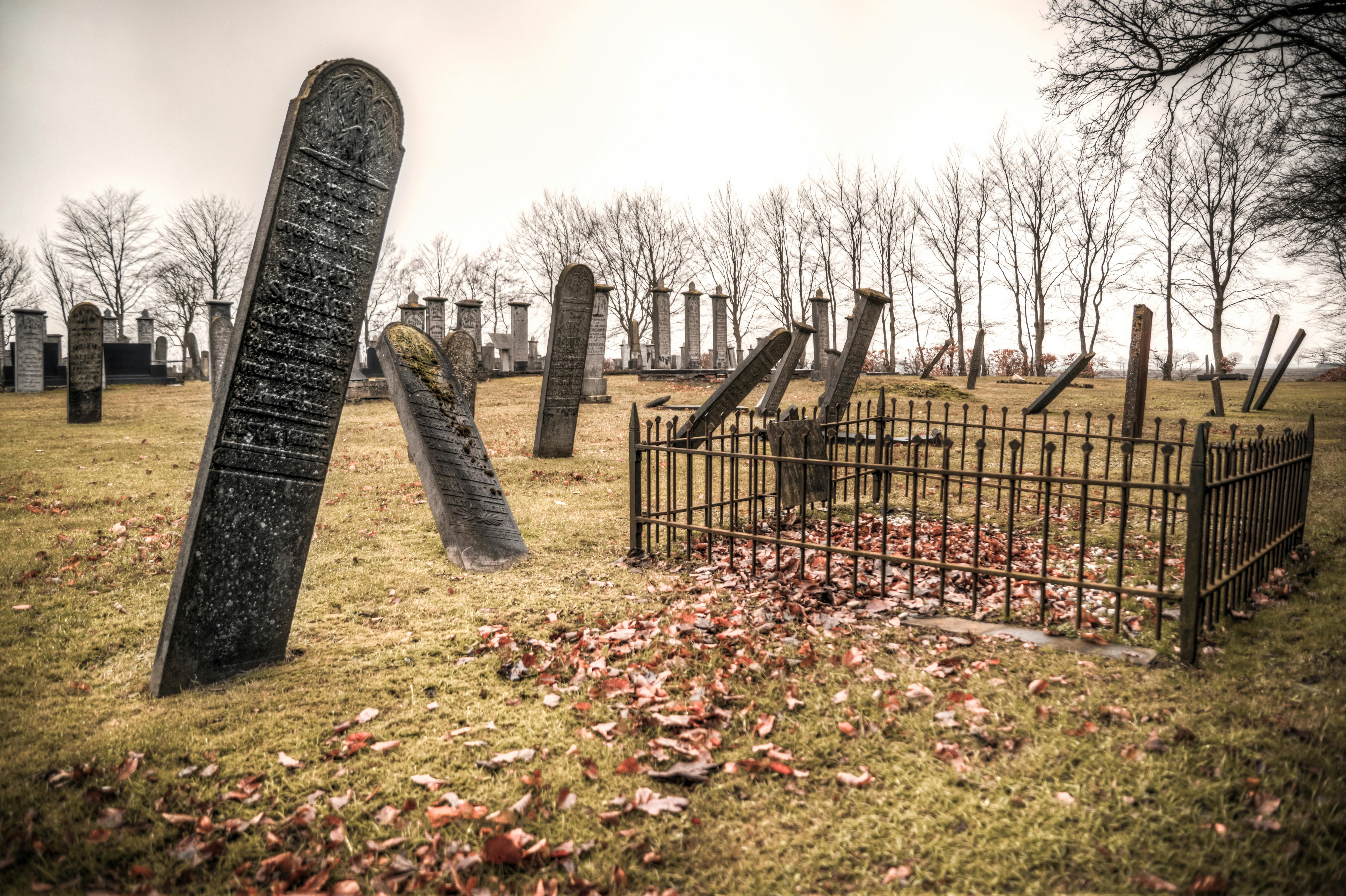 有关围栏 墓園 墓碑的免费素材图片