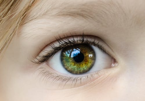 Free Closeup Photo of Human Eye Stock Photo