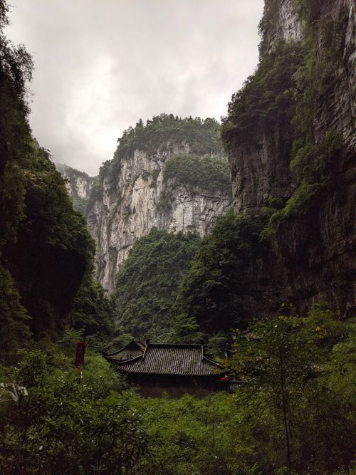 Free Moody landscape of lush greenery and towering cliffs in Wulong Qu, Chongqing, China Stock Photo