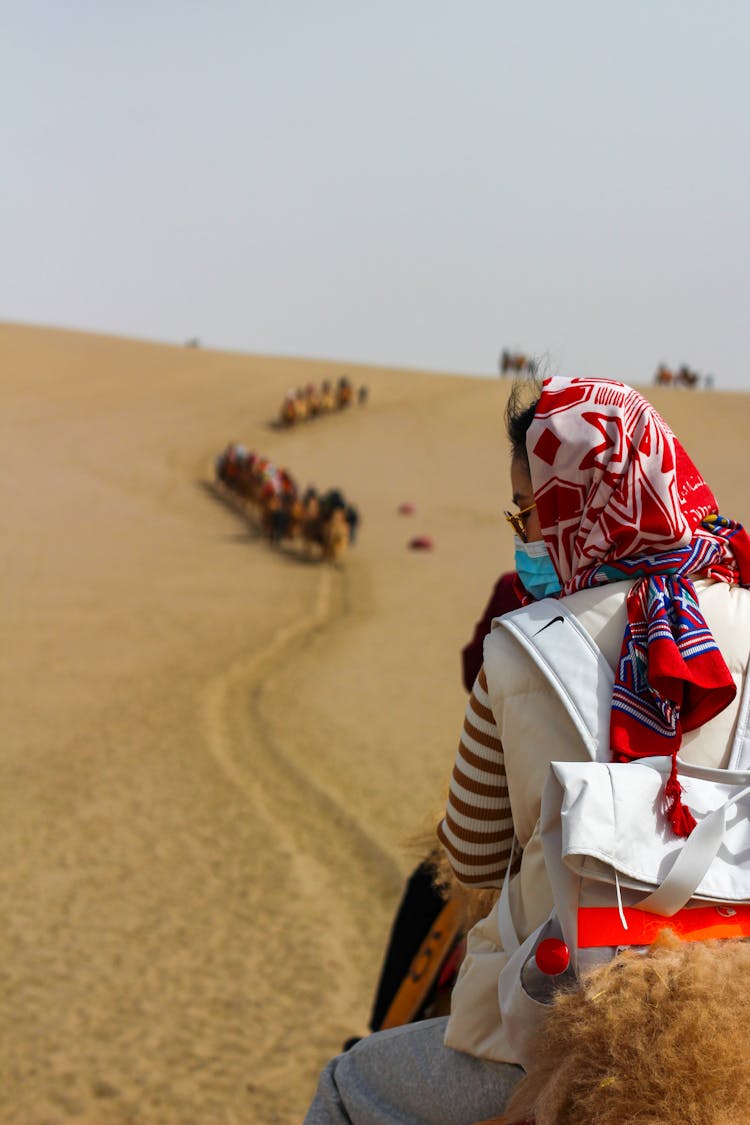 Camel Caravan On A Desert 