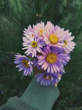 A close-up of a hand holding a vibrant bouquet of purple daisies against a green background.