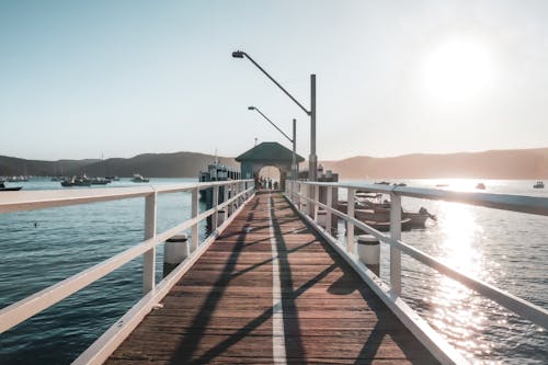 Brown Wooden Dock on Sea