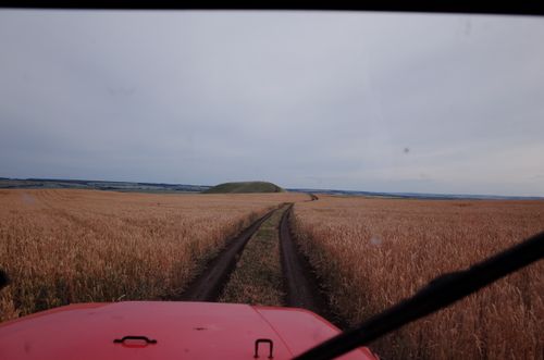 Free Dirt path through a golden wheat field at dusk, taken from a car hood with open sky. Stock Photo