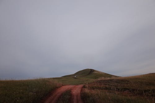 フィールド, 丘, 山の無料の写真素材