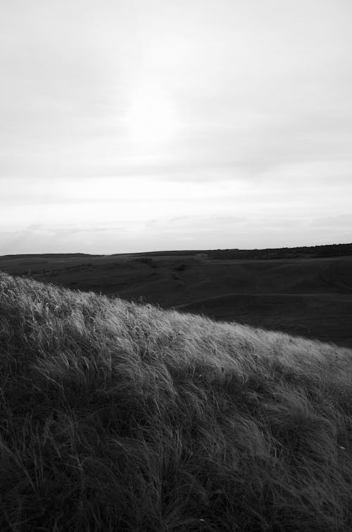 Gratis lagerfoto af bane, blæsende, brise