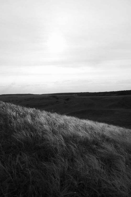Free Black and white countryside landscape with grassy hills under a cloudy sky. Stock Photo