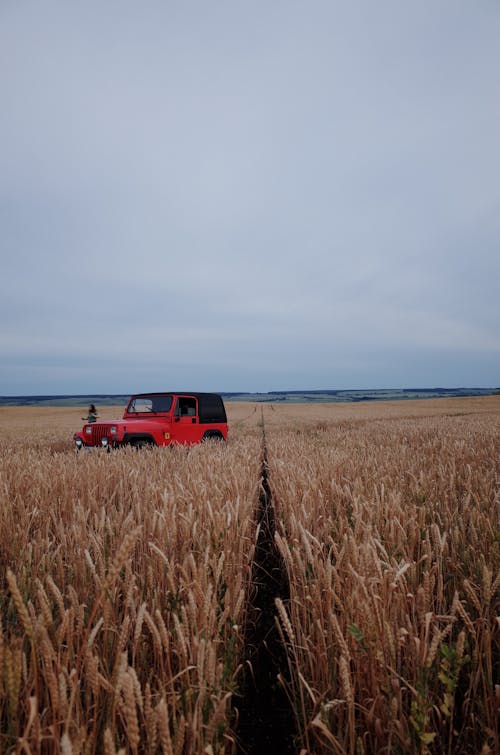 Immagine gratuita di auto, campo di fattoria, campo di grano