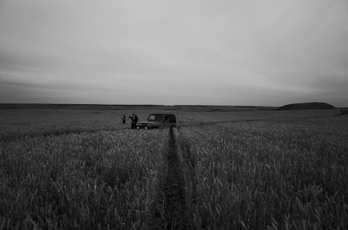 Fotos de stock gratuitas de aparcado, blanco y negro, campo de cultivo