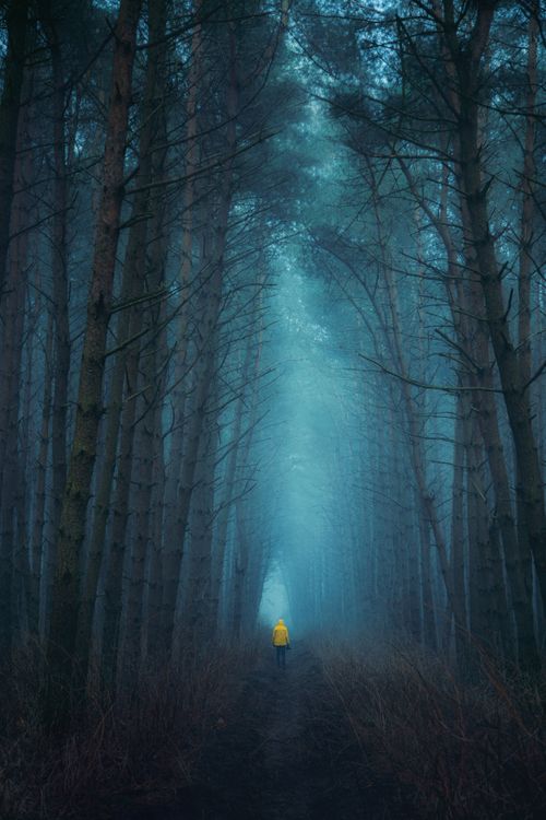 Back View Shot of a Person Wearing Yellow Jacket Walking on a Narrow ...