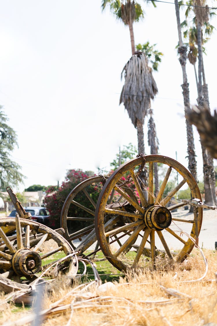 Parts Of Damaged Horse Cart On Side Of Road