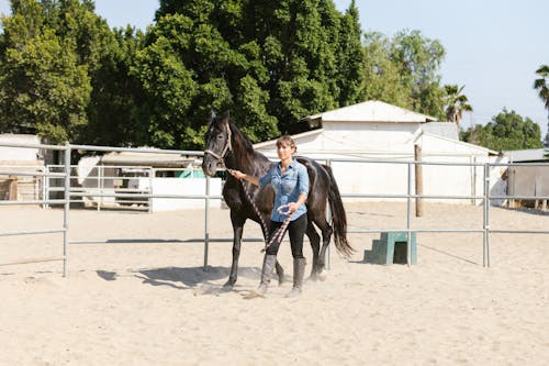 Foto d'estoc gratuïta de adult, animal, barret de cowboy