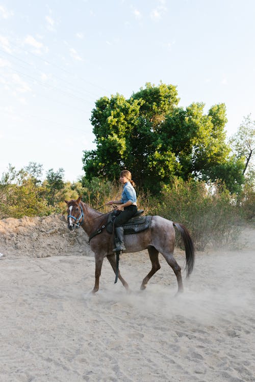 Fotobanka s bezplatnými fotkami na tému jazda na koni, kovboj, pieskový
