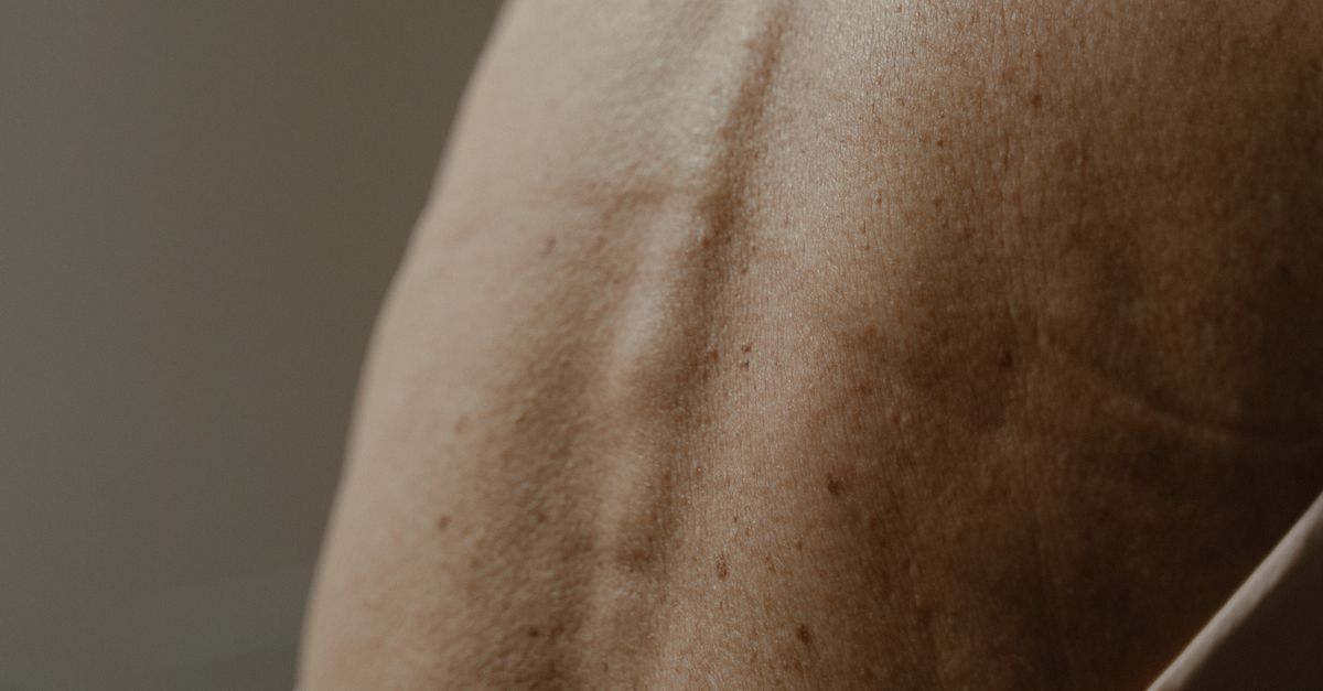 Normal Back Photo A Person's Back in Close-up Photography · Free Stock Photo