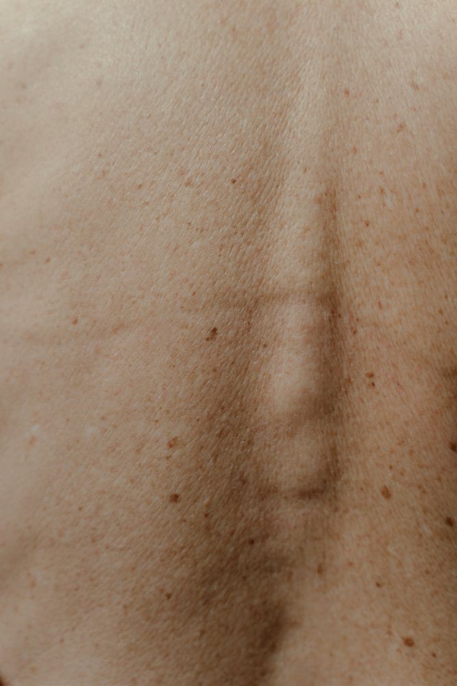 Human Back Photos, Download The BEST Free Human Back Stock Photos & HD ...