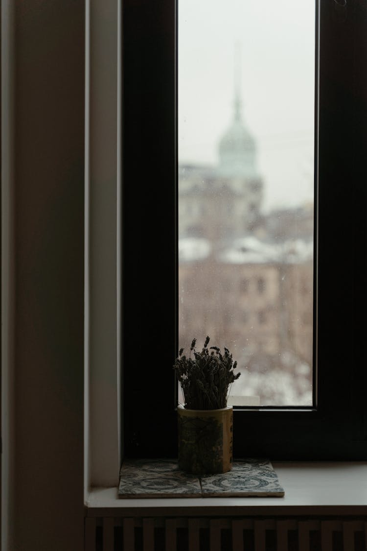 Indoor Plant On A Pot Placed On A Windowsill