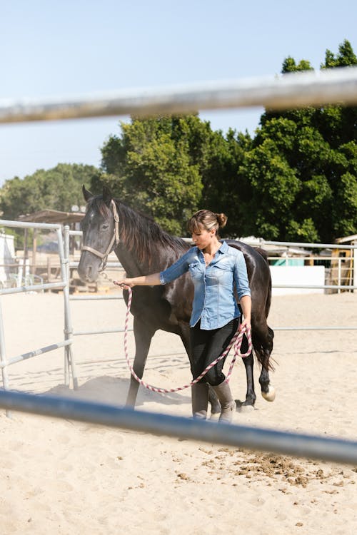 Woman Walking Beside a Horse