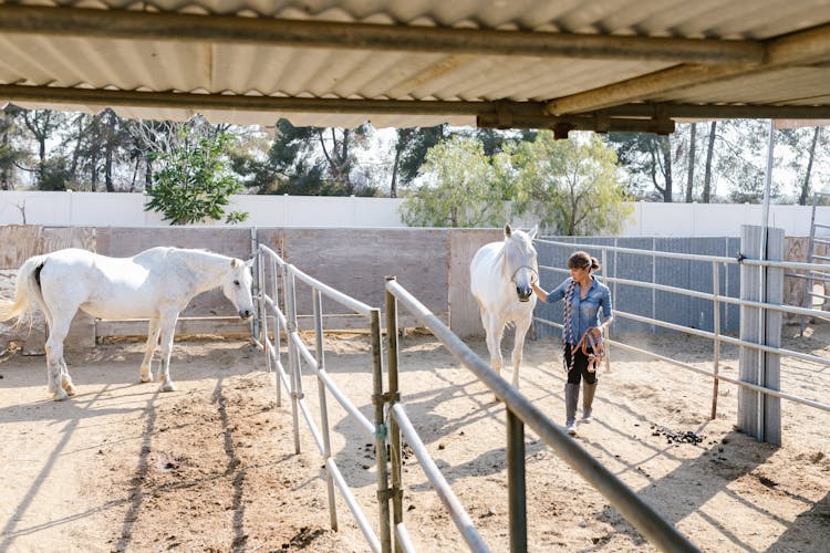 A Woman Walking With A Horse