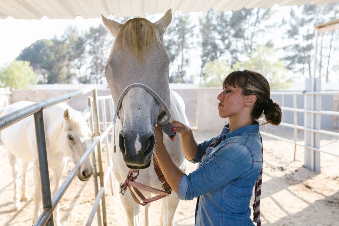 Autumn Horse Care Tips to Get Ready for Riding Season