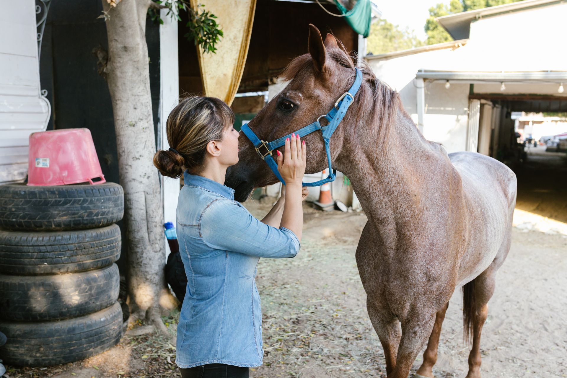 Woman Hugging Horse on Farm