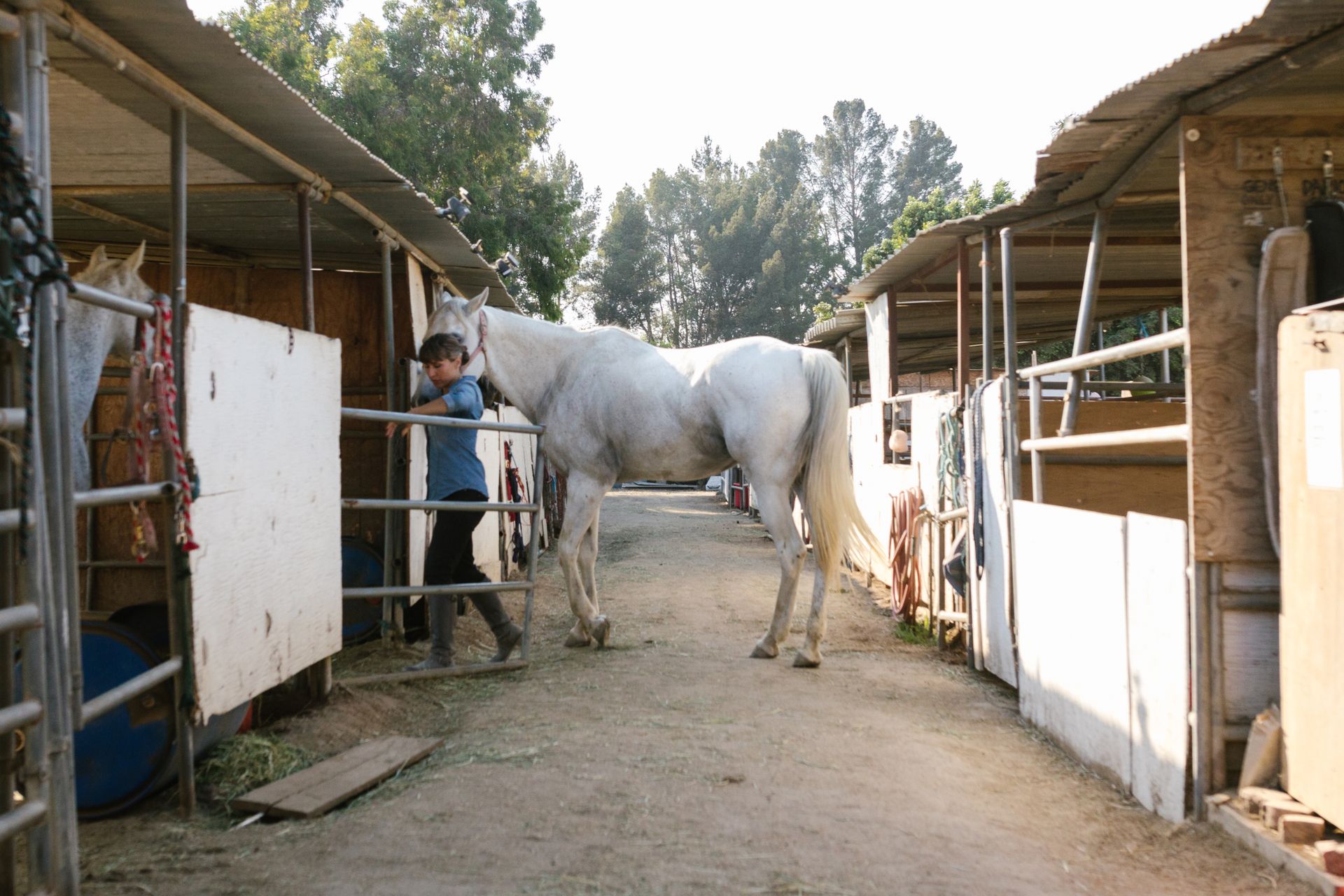 A Woman in Denim Long Sleeves Taking Care of the Horse