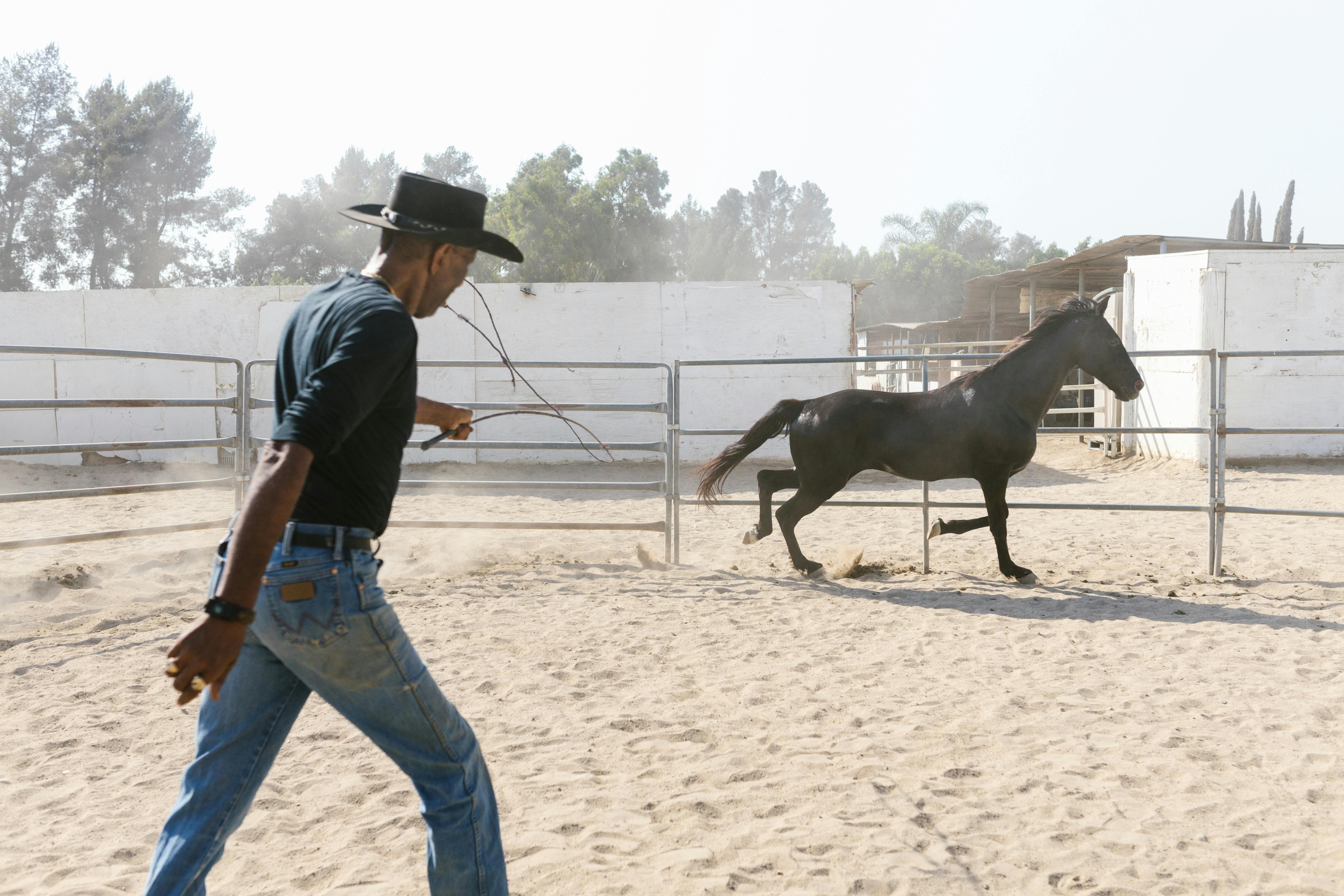 man training a horse on a paddock