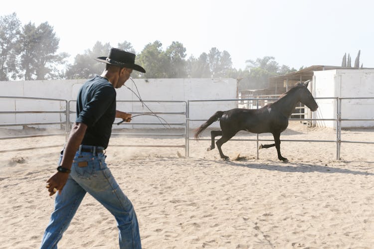 Man Training A Horse On A Paddock 