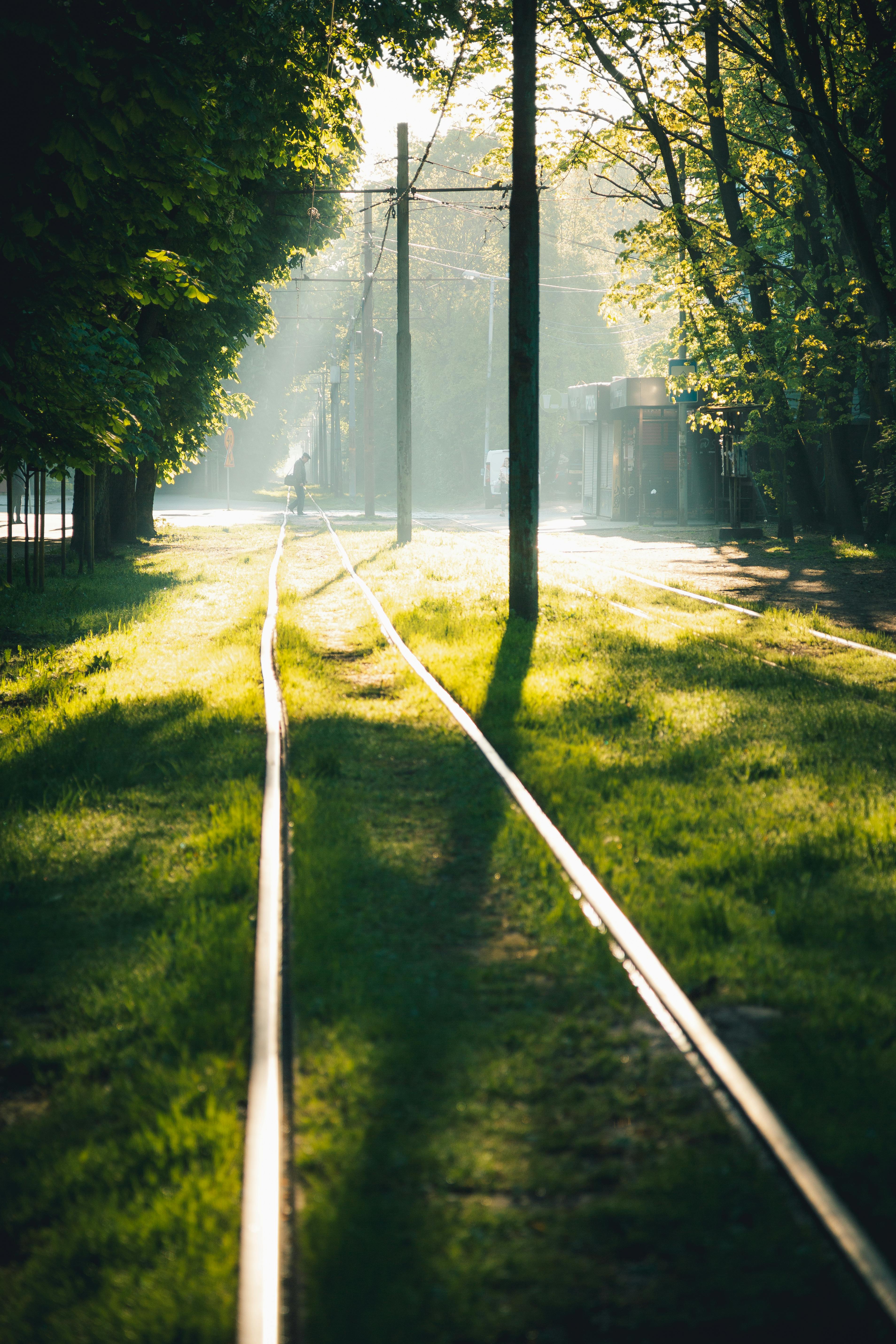 Peaceful railway tracks in a sunlit forest scene, evoking tranquility.