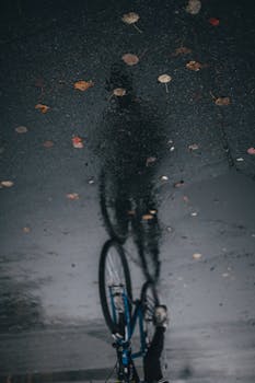 Reflection of a cyclist and bicycle on a wet road with fallen autumn leaves.