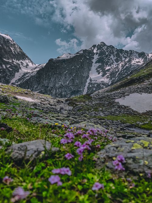 Free Scenic view of snow-capped mountains and vibrant wildflowers on a rocky terrain. Stock Photo
