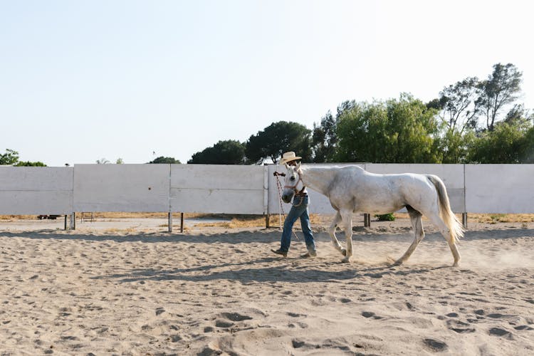 A Man Walking The Horse On Sand