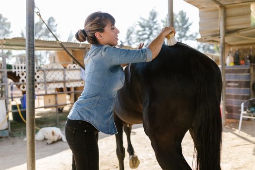A Woman Brushing a Horse
