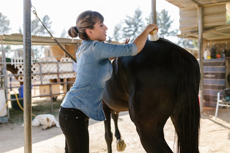 A Woman Brushing A Horse