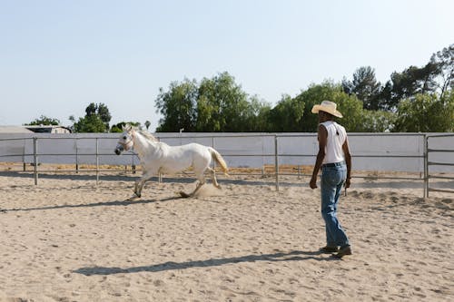 Man in White Tank Top and Denim Jeans Walking Towards a Horse