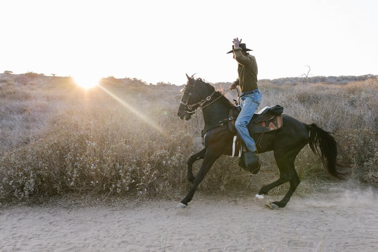 A Cowboy Riding His Black Horse Outdoors