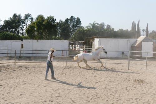 A Man in Blue Denim Pants Standing Beside White Horse