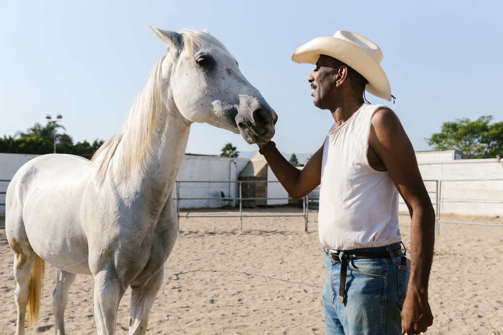 A Cowboy Taking Care of His White Horse