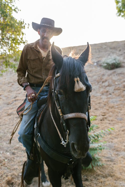 A Cowboy Riding a Black Horse
