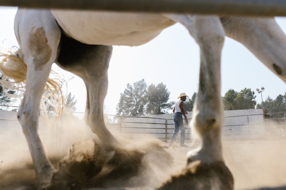 rebuilding weak horse hooves