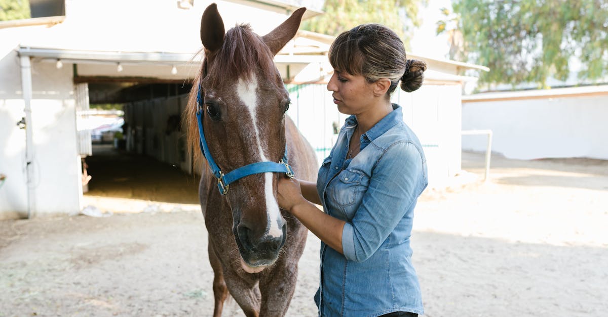 Photos provided by Pexels