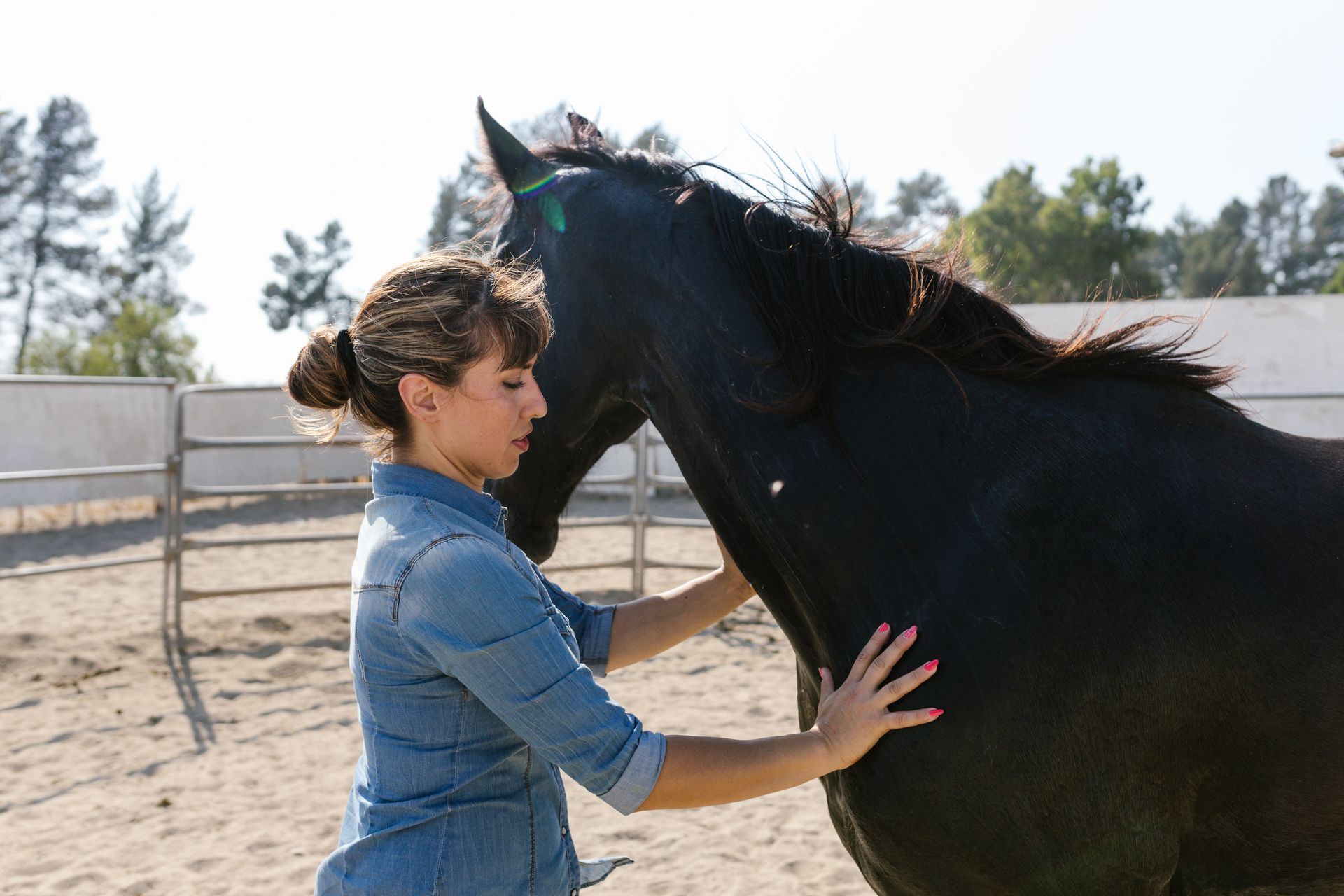 A Woman Taking Care of Her Black Horse
