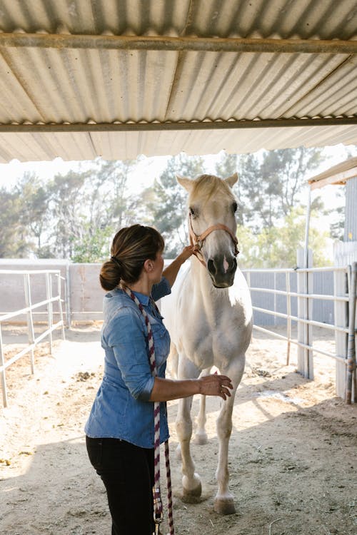 A Woman Taking Care of Her White Horse