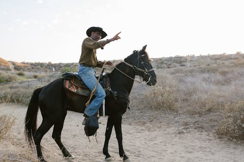 A Cowboy Riding a Horse 