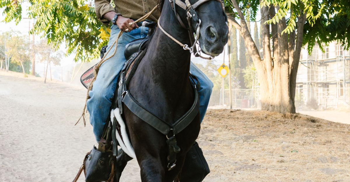 Operate Man Riding A Man Riding a Horse · Free Stock Photo